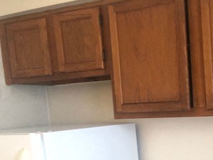 Sunny open concept kitchens
